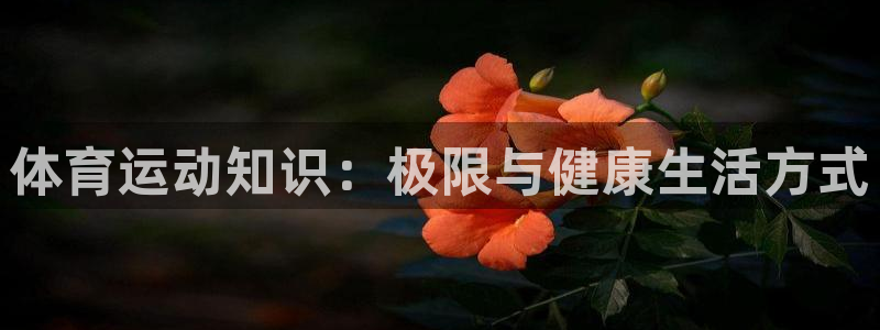 利记官方正版app娱乐40996:体育运动知识:极限与健康生