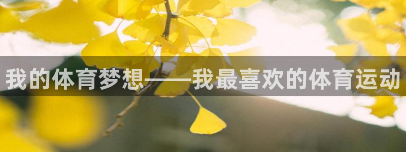 利记官网下载招商电话是多少:我的体育梦想——我最喜欢的体育运