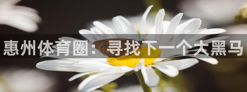 利记官方正版app娱乐代理怎么样:惠州体育圈:寻找下一个大黑